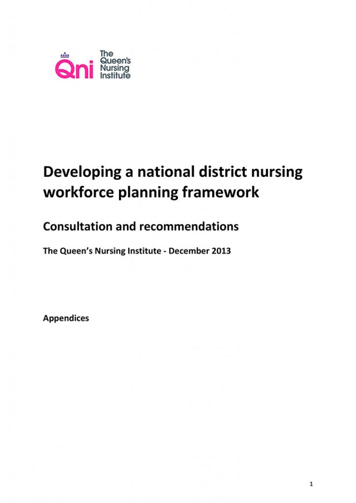 District Nursing Workforce Planning Appendices cover