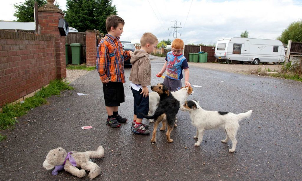 Children from a traveller community playing in the street with dogs