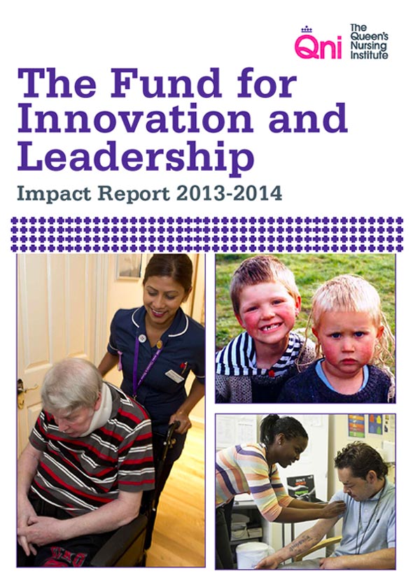 Cover of the Fund for Innovation report 2013-14