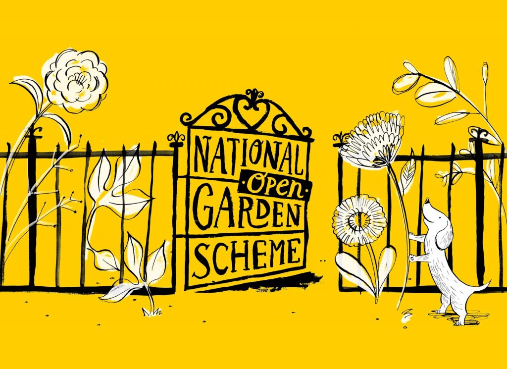 An illustration of the new branding for the National Garden Scheme