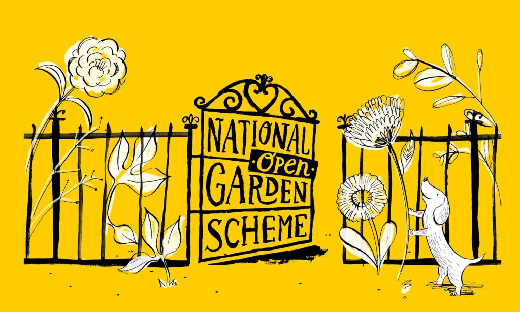 An illustration of the National Garden Scheme logo using illustrations in yellow, black and white