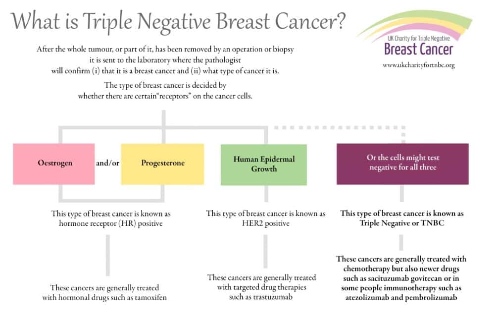 What is Triple Negative Breast Cancer?  Triple Negative Breast Cancer  Foundation